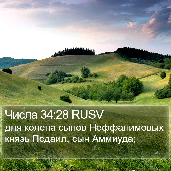 Числа 34:28 RUSV Bible Study