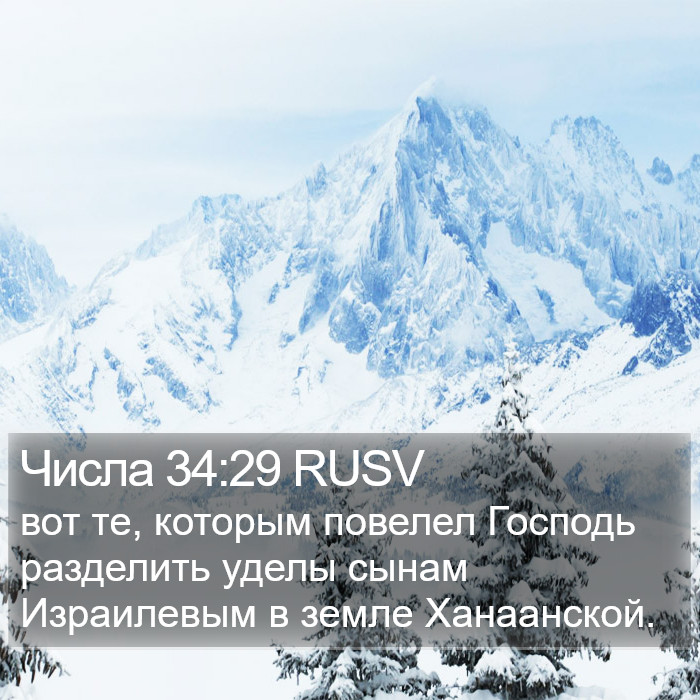 Числа 34:29 RUSV Bible Study