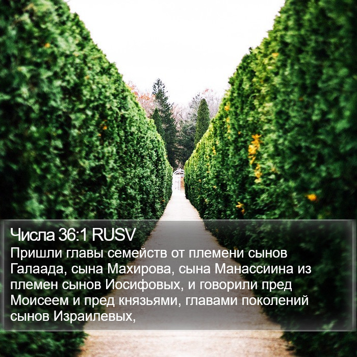 Числа 36:1 RUSV Bible Study