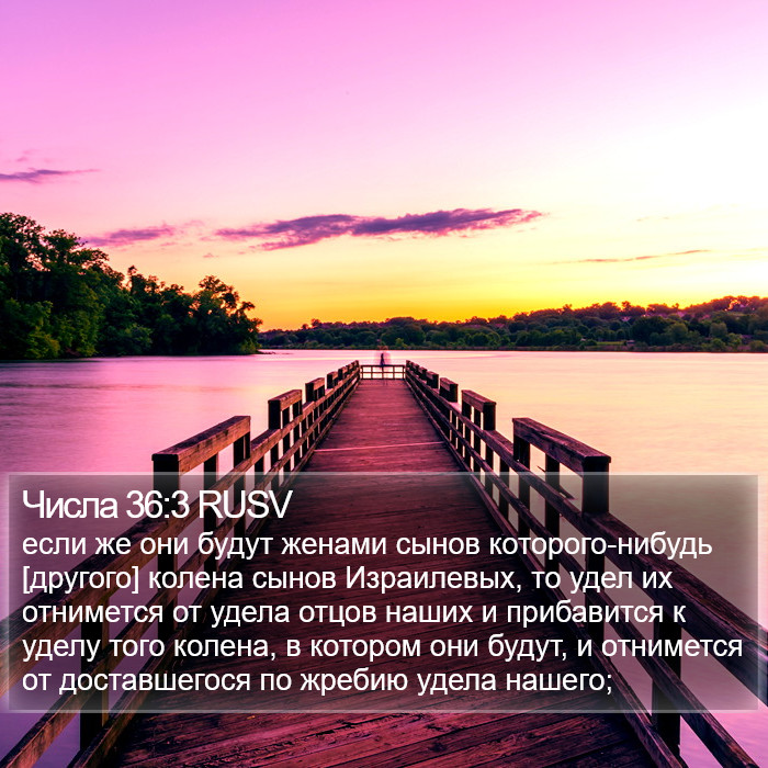 Числа 36:3 RUSV Bible Study