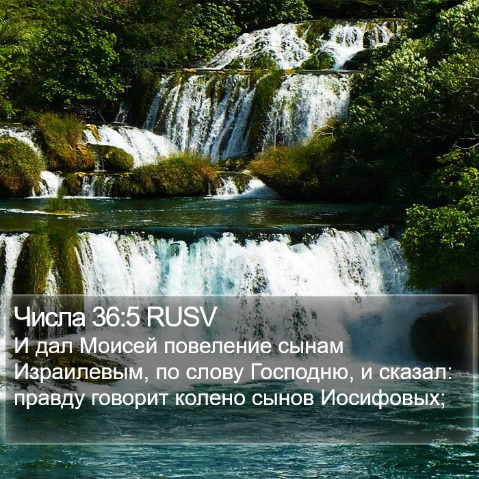 Числа 36:5 RUSV Bible Study