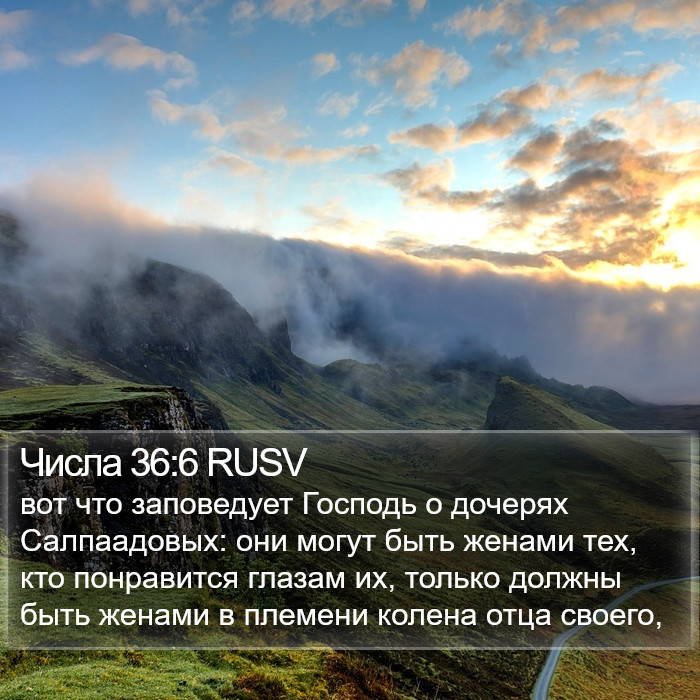 Числа 36:6 RUSV Bible Study