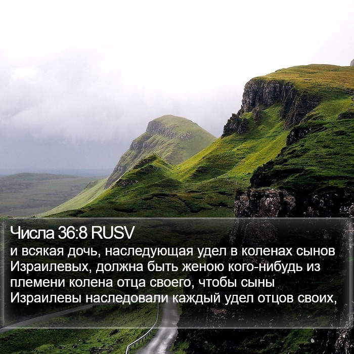 Числа 36:8 RUSV Bible Study