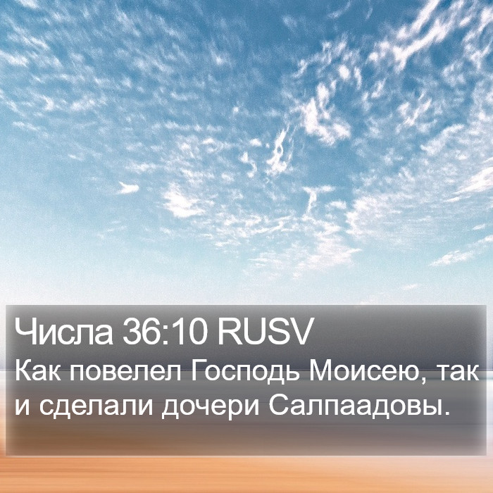 Числа 36:10 RUSV Bible Study