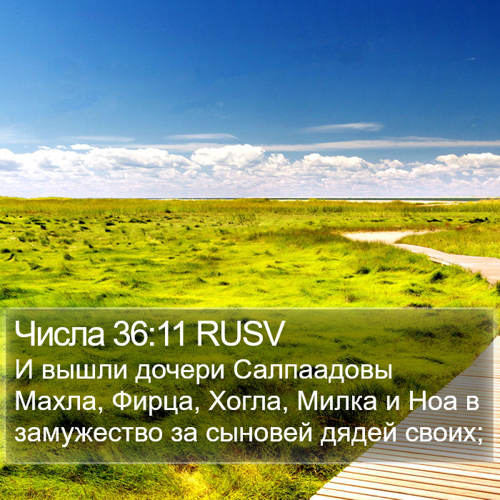 Числа 36:11 RUSV Bible Study