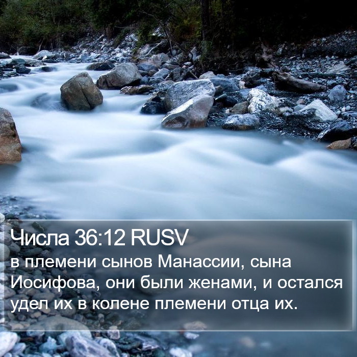 Числа 36:12 RUSV Bible Study