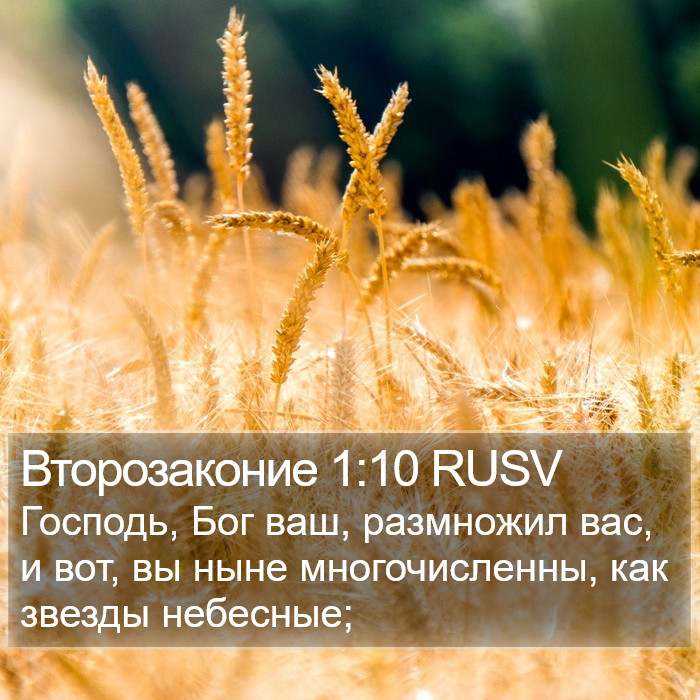 Второзаконие 1:10 RUSV Bible Study