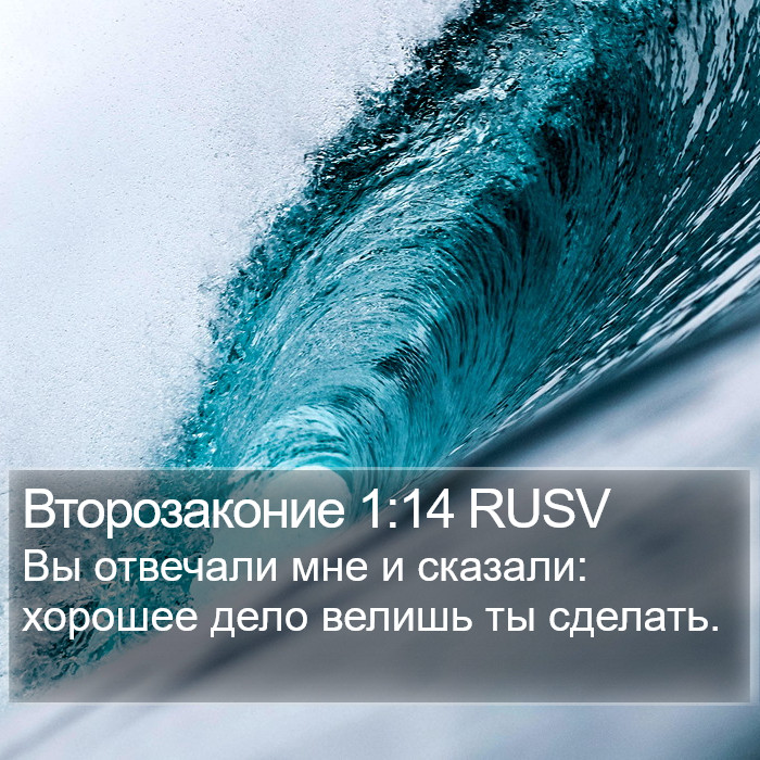 Второзаконие 1:14 RUSV Bible Study