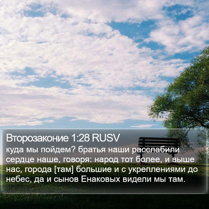 Второзаконие 1:28 RUSV Bible Study