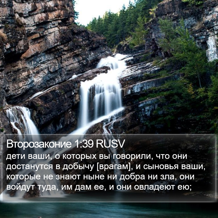 Второзаконие 1:39 RUSV Bible Study