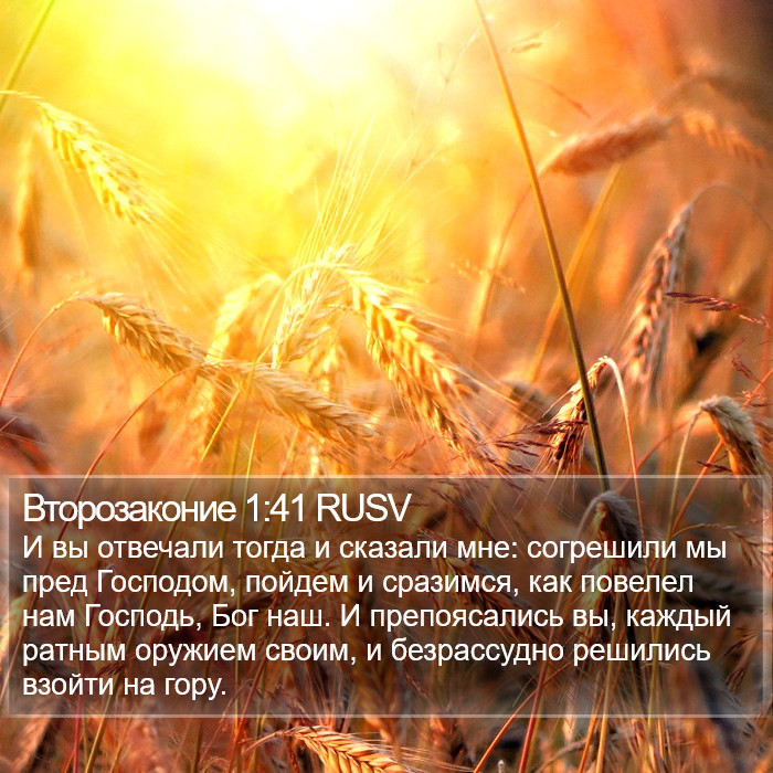 Второзаконие 1:41 RUSV Bible Study