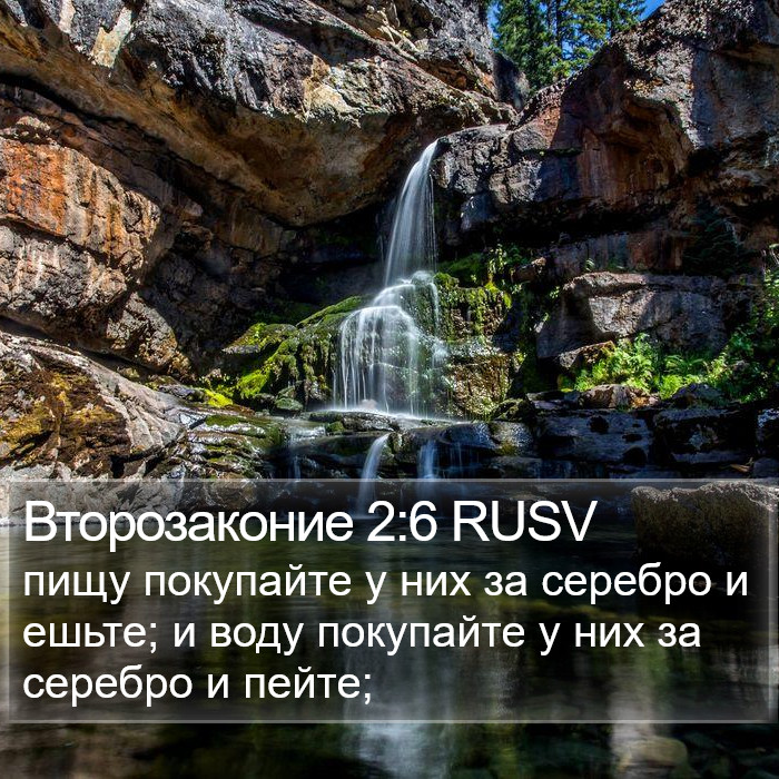 Второзаконие 2:6 RUSV Bible Study