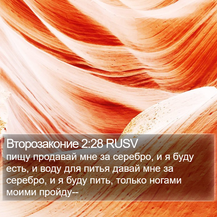 Второзаконие 2:28 RUSV Bible Study