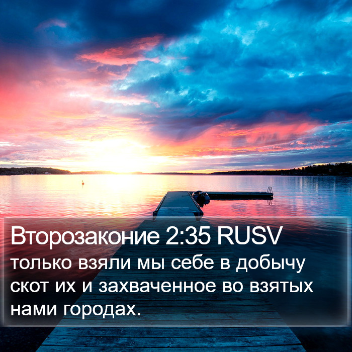 Второзаконие 2:35 RUSV Bible Study