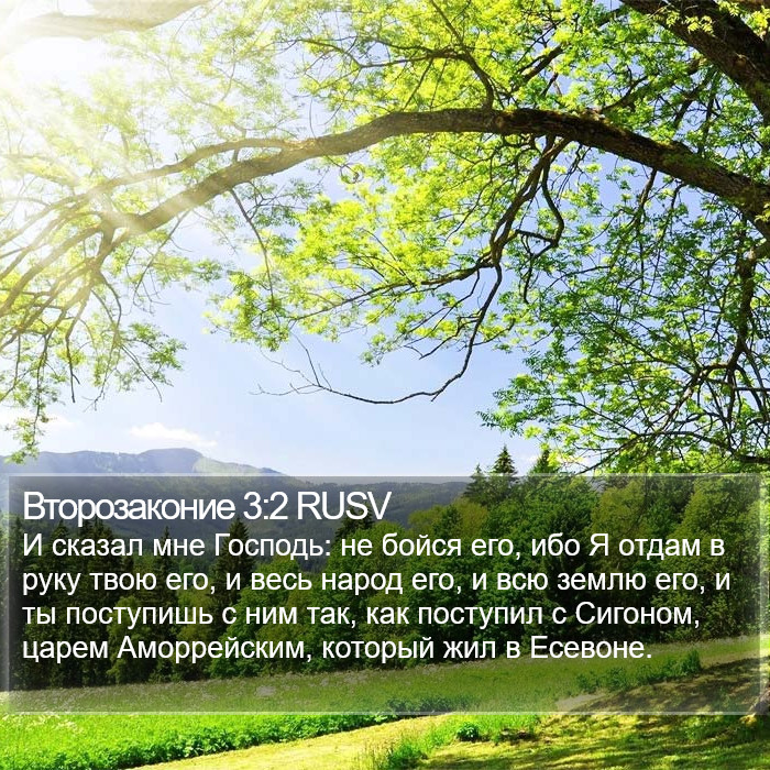 Второзаконие 3:2 RUSV Bible Study