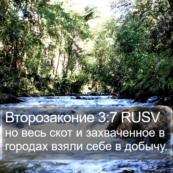 Второзаконие 3:7 RUSV Bible Study