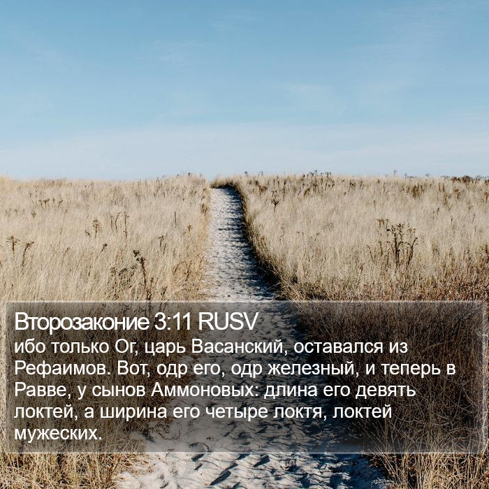 Второзаконие 3:11 RUSV Bible Study