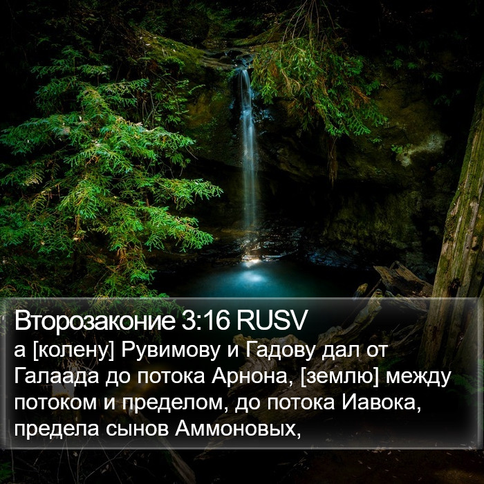 Второзаконие 3:16 RUSV Bible Study