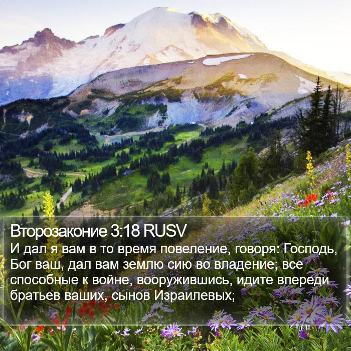 Второзаконие 3:18 RUSV Bible Study