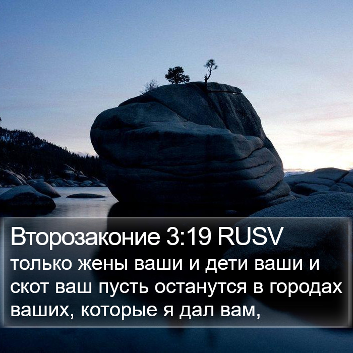 Второзаконие 3:19 RUSV Bible Study