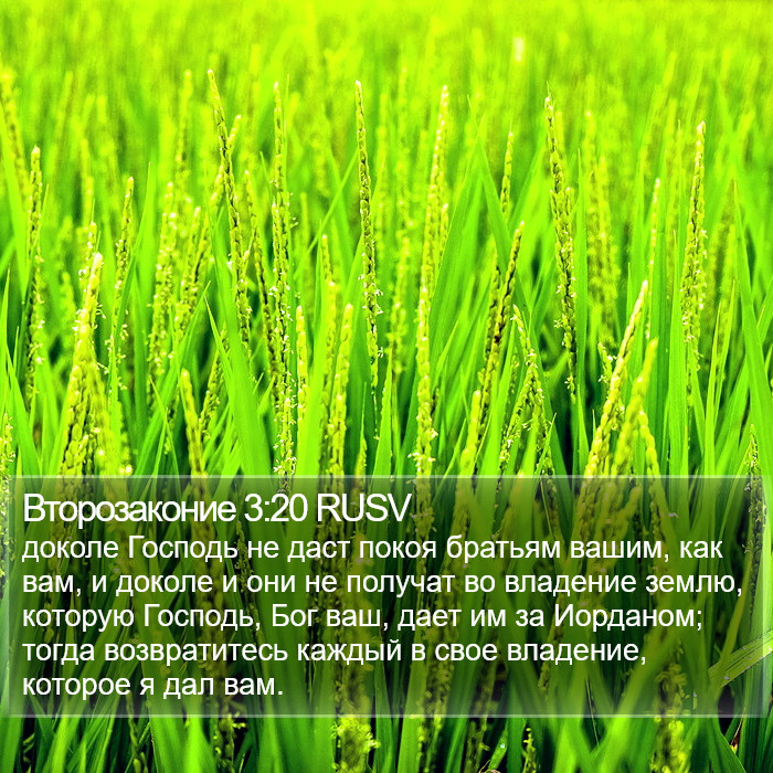 Второзаконие 3:20 RUSV Bible Study