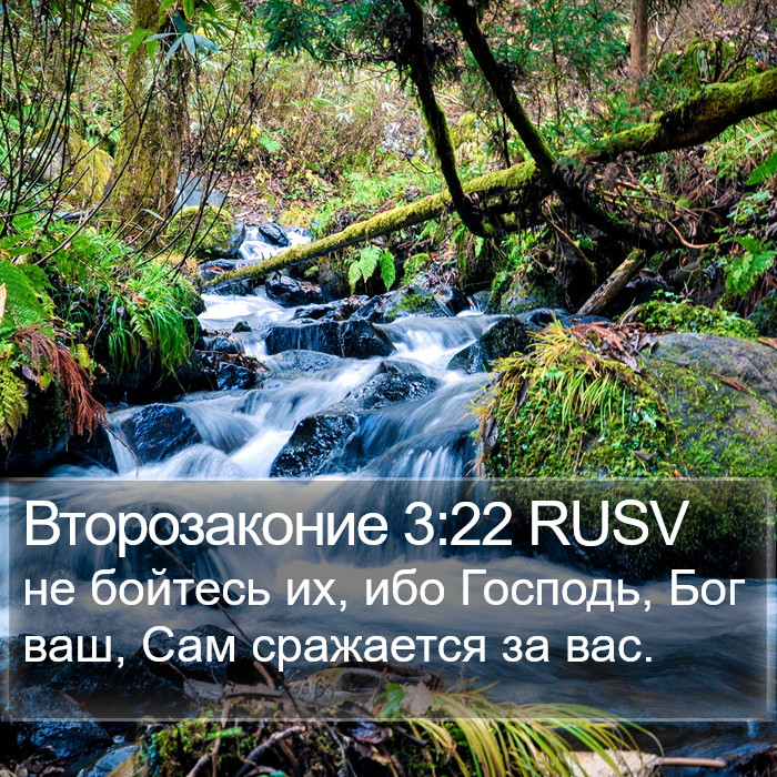 Второзаконие 3:22 RUSV Bible Study