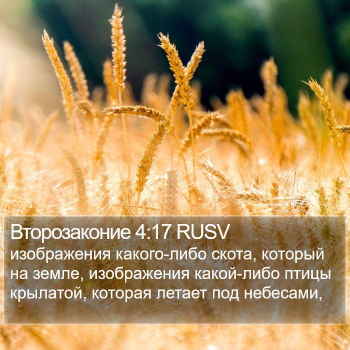 Второзаконие 4:17 RUSV Bible Study