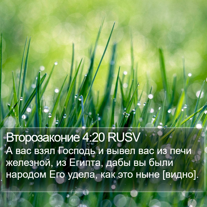 Второзаконие 4:20 RUSV Bible Study