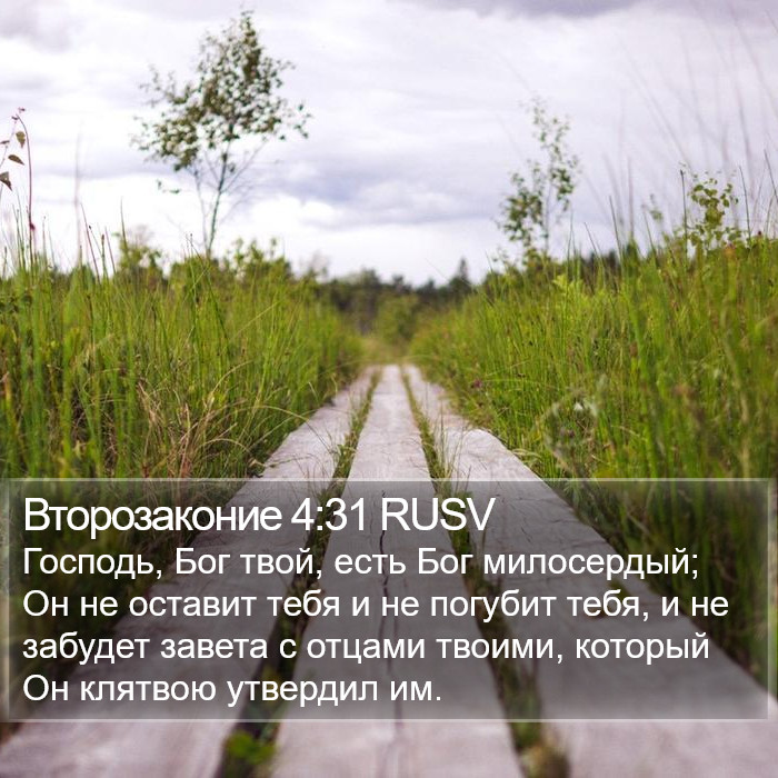 Второзаконие 4:31 RUSV Bible Study