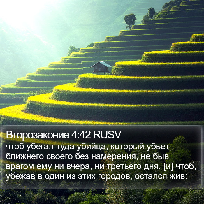 Второзаконие 4:42 RUSV Bible Study