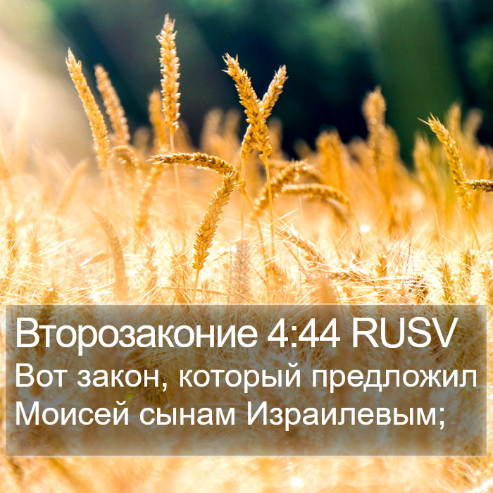 Второзаконие 4:44 RUSV Bible Study