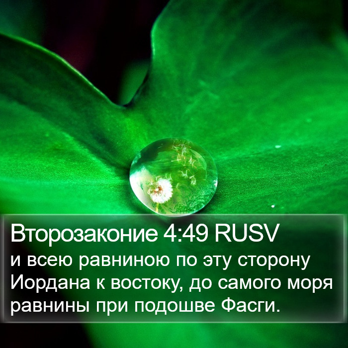 Второзаконие 4:49 RUSV Bible Study