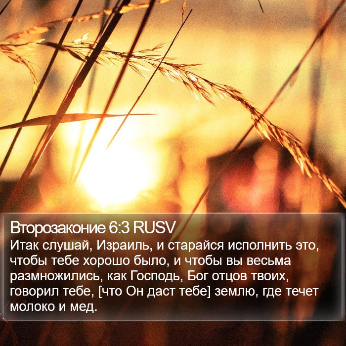 Второзаконие 6:3 RUSV Bible Study