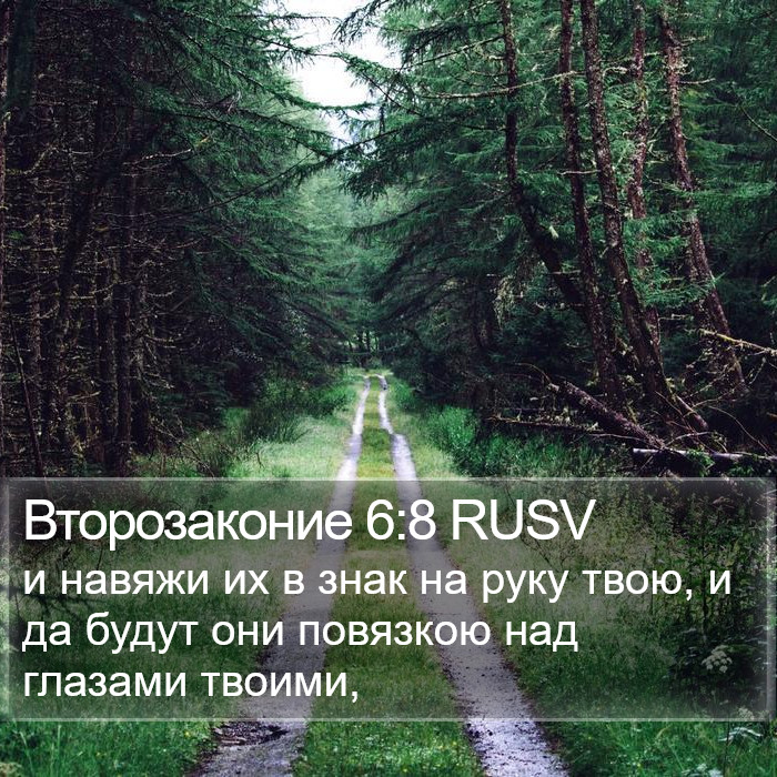 Второзаконие 6:8 RUSV Bible Study