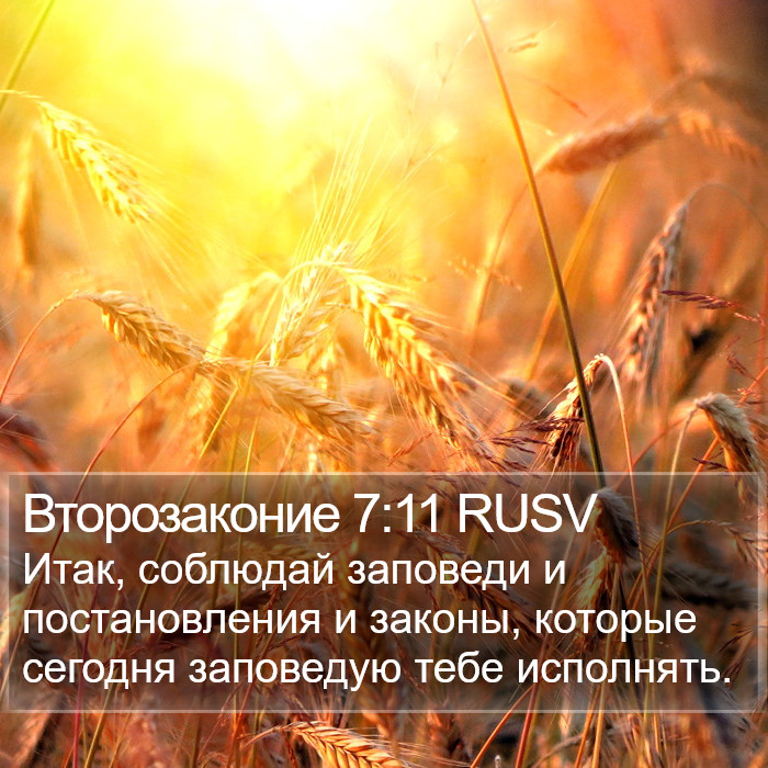 Второзаконие 7:11 RUSV Bible Study