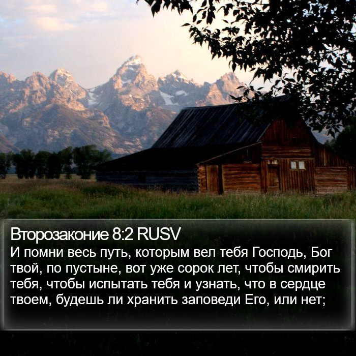 Второзаконие 8:2 RUSV Bible Study