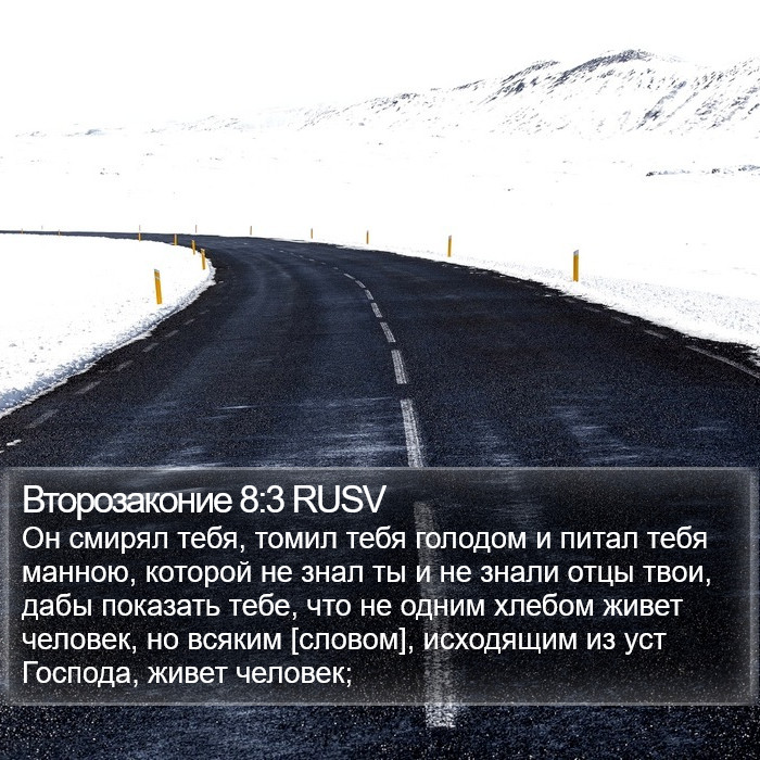 Второзаконие 8:3 RUSV Bible Study