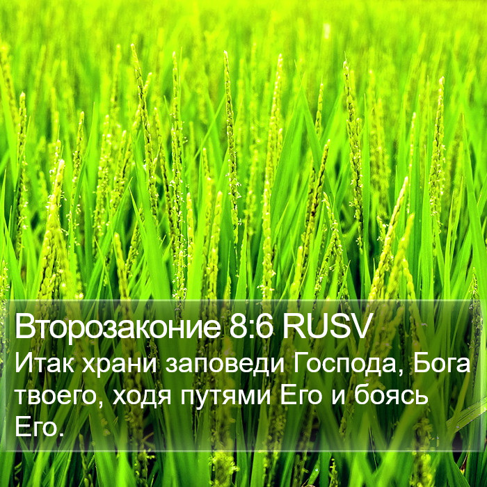 Второзаконие 8:6 RUSV Bible Study