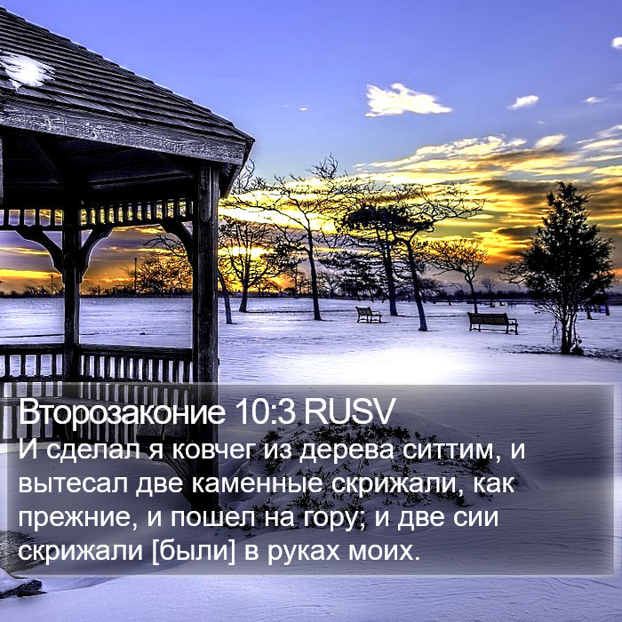 Второзаконие 10:3 RUSV Bible Study