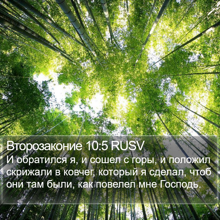 Второзаконие 10:5 RUSV Bible Study