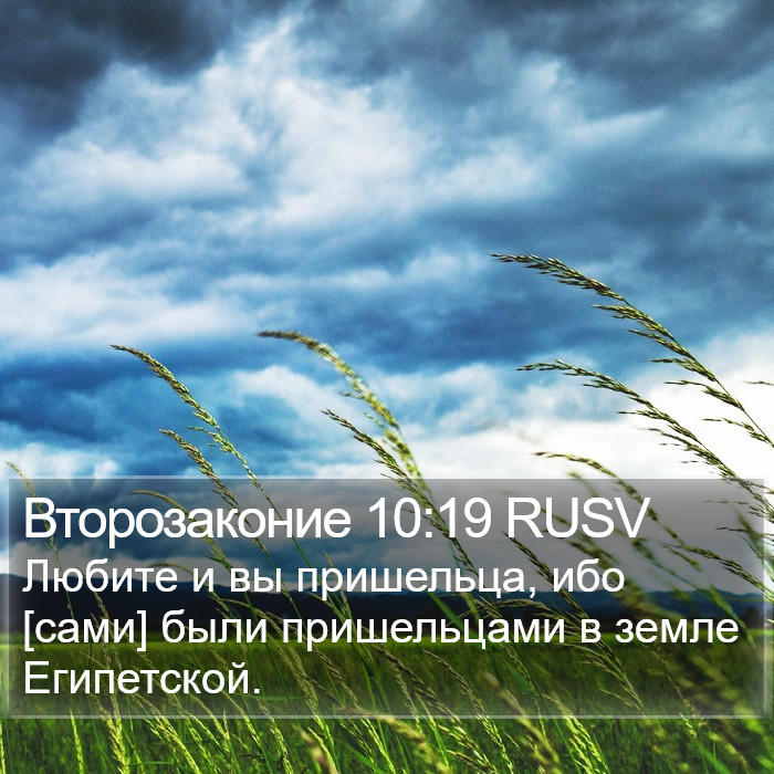 Второзаконие 10:19 RUSV Bible Study