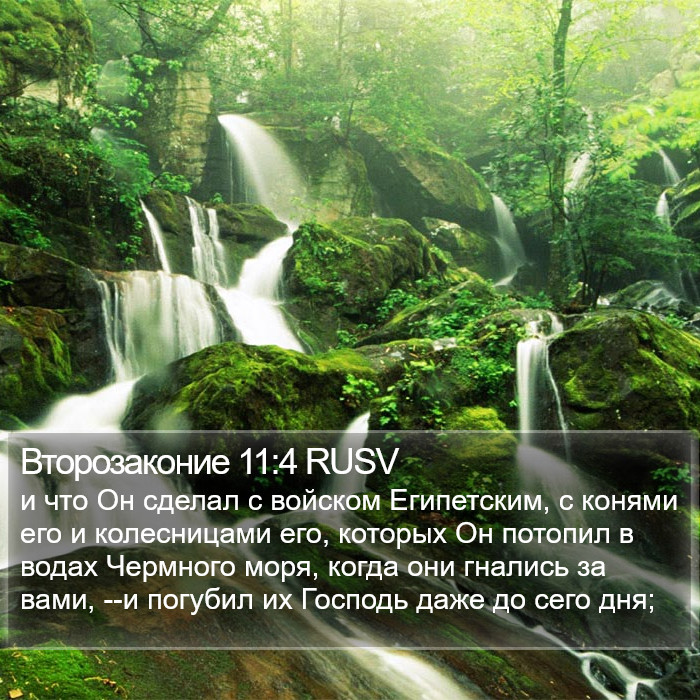 Второзаконие 11:4 RUSV Bible Study