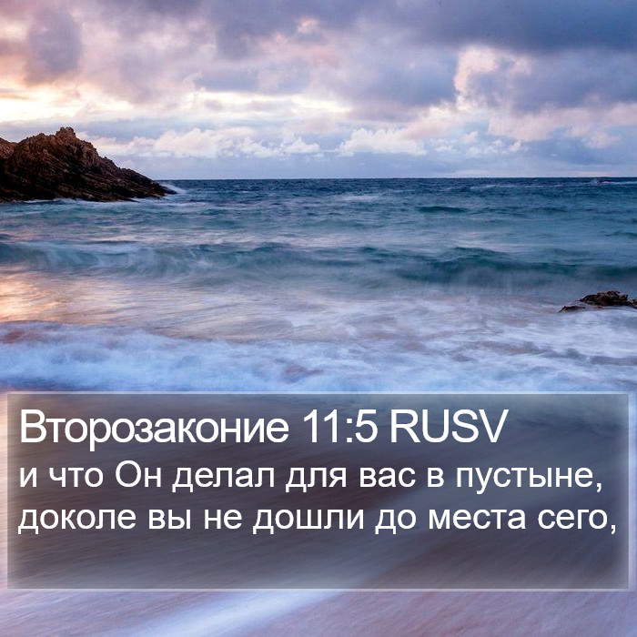 Второзаконие 11:5 RUSV Bible Study