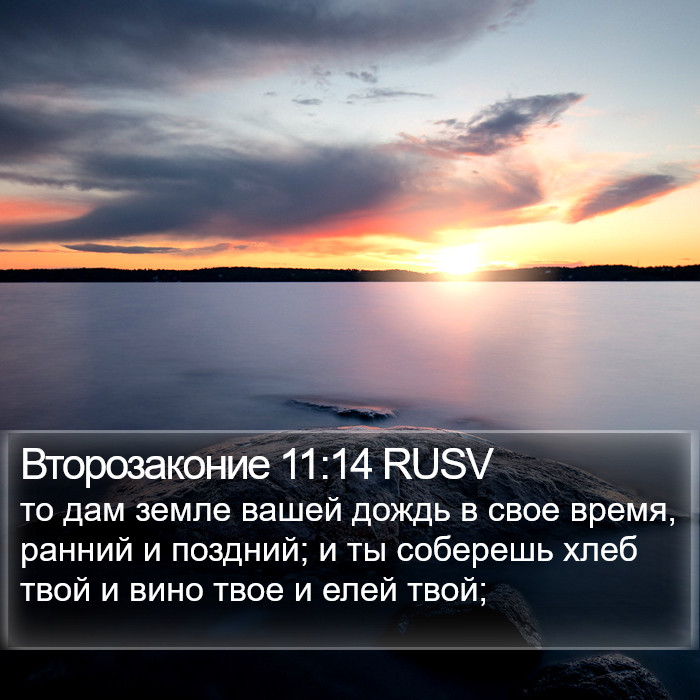 Второзаконие 11:14 RUSV Bible Study