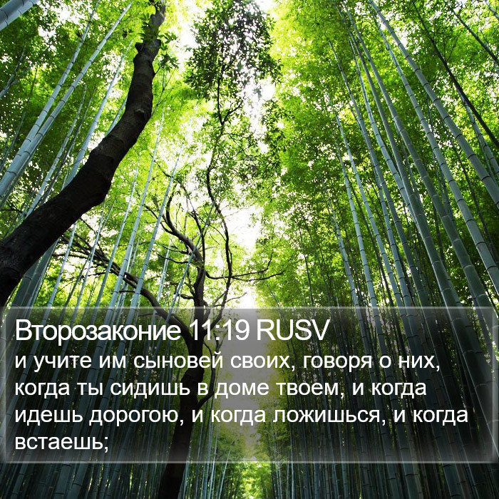 Второзаконие 11:19 RUSV Bible Study