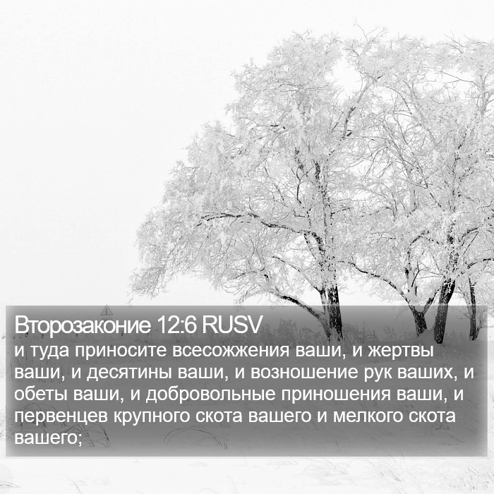 Второзаконие 12:6 RUSV Bible Study