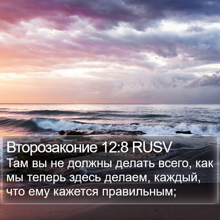 Второзаконие 12:8 RUSV Bible Study