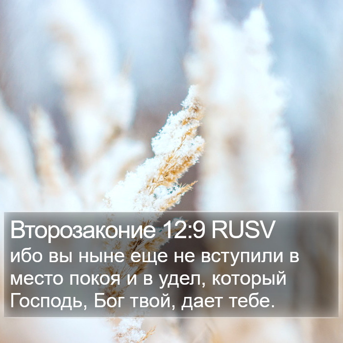 Второзаконие 12:9 RUSV Bible Study