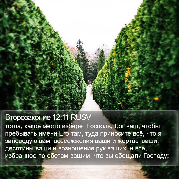 Второзаконие 12:11 RUSV Bible Study