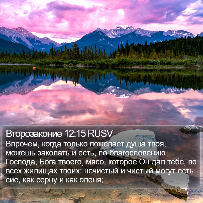 Второзаконие 12:15 RUSV Bible Study